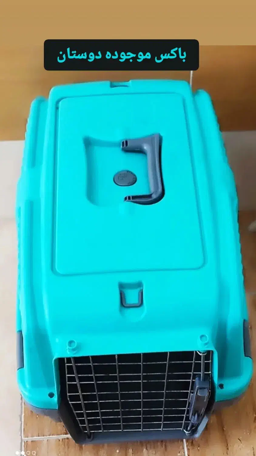 باکس گربه حصارمرغ|لوازم جانبی حیوانات|منجیل, |دیوار