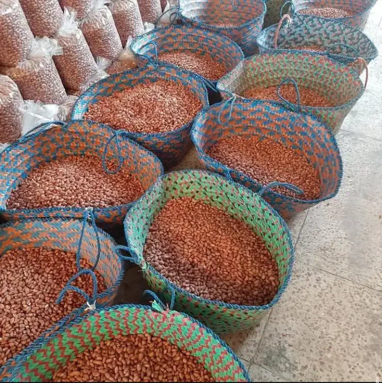 جذب نیرو برای کارگاه بادام زمینی|استخدام صنعتی، فنی، مهندسی|آستانه اشرفیه, |دیوار
