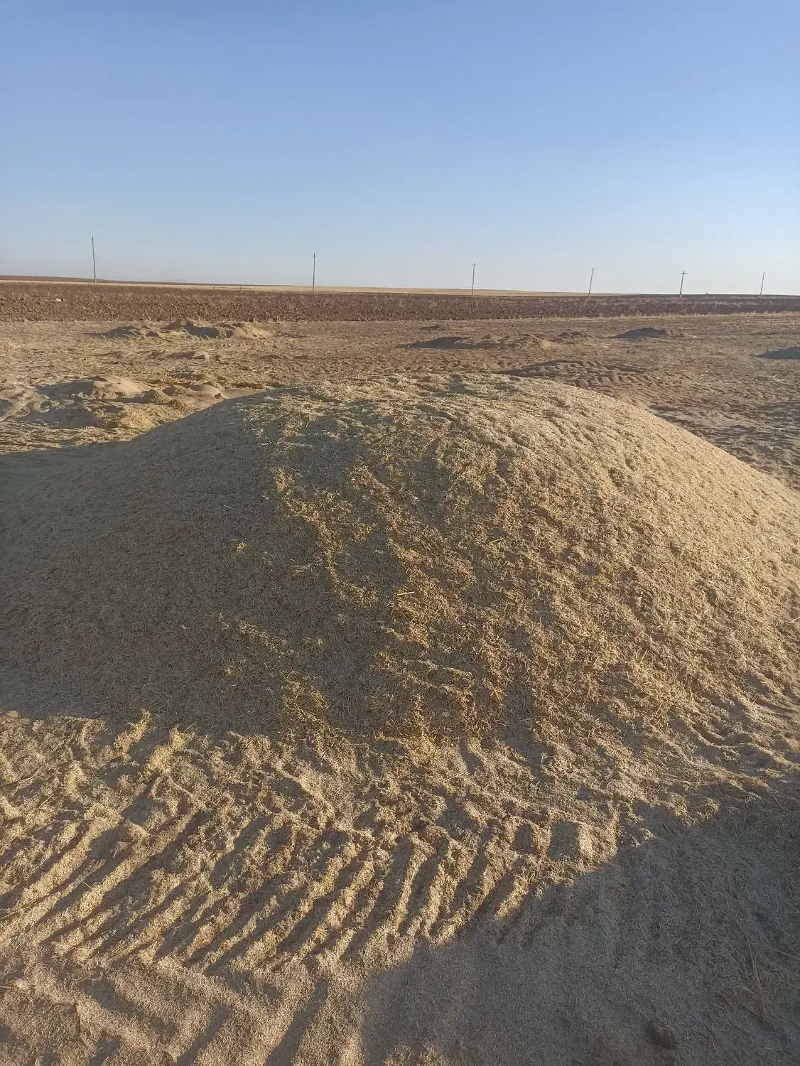 کاه گندم|عمدهفروشی|افشار, |دیوار