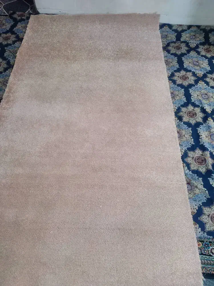 پالاز|موکت|قم, مصلاء|دیوار