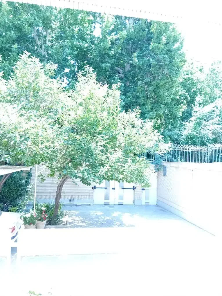 176مترکلنگی/عرض 15/جنوبی/پلاک دوم محتشم کاشانی|فروش زمین و ملک کلنگی|اصفهان, حسین‌آباد|دیوار