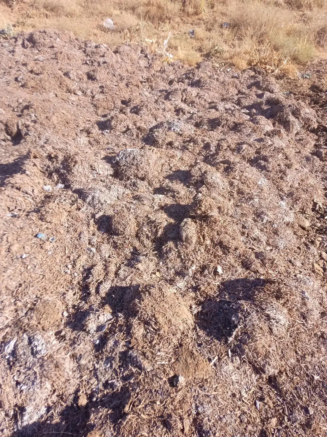 کود کمپوست قارچ|خدمات باغبانی و درختکاری|کلیائی, |دیوار