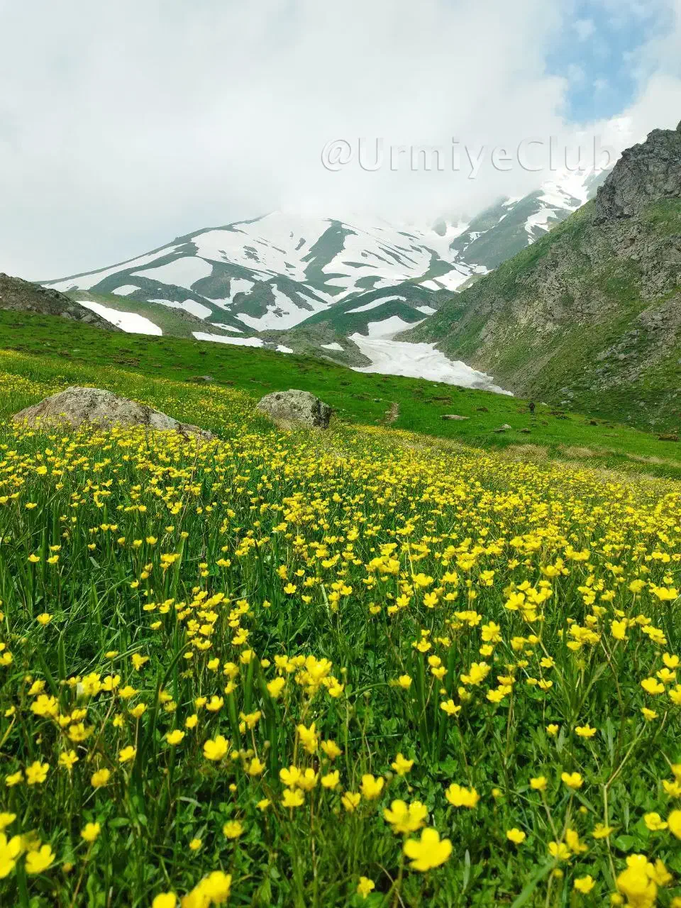 راهنمایی برای سرمایه گذاری|فعالیت داوطلبانه تحقیقاتی|ارومیه, |دیوار