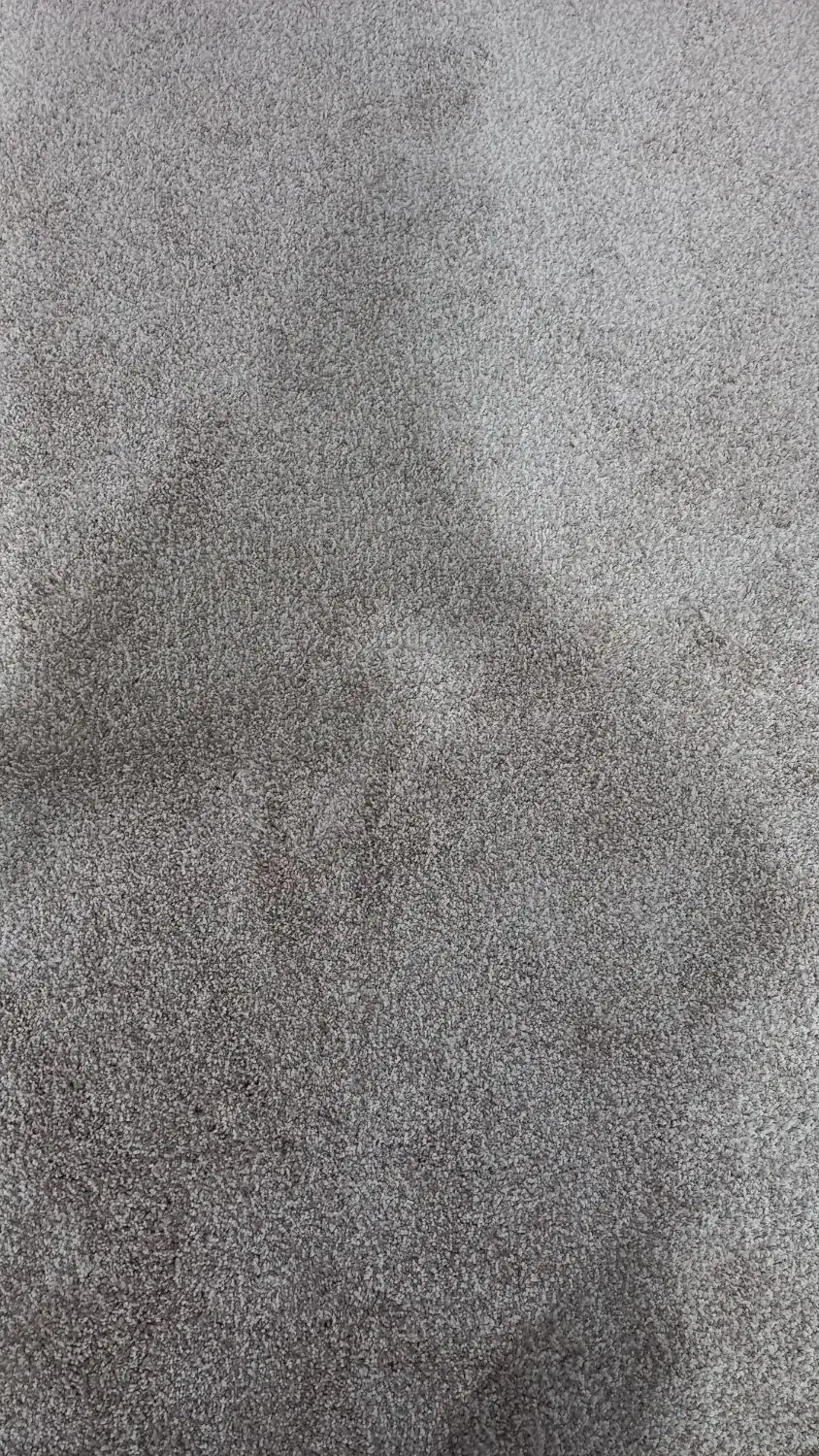 پالاز موکت پرز بلند|موکت|اردبیل, |دیوار