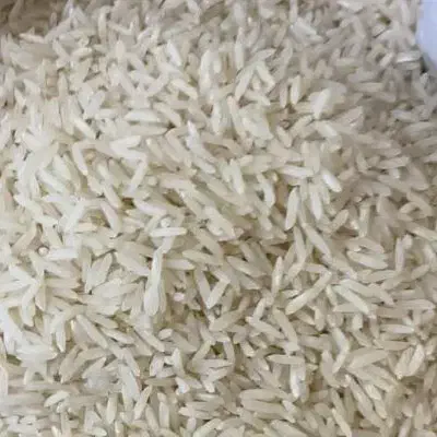 برنج فجر سوزنی درجه یک|خوردنی و آشامیدنی|گرگان, |دیوار