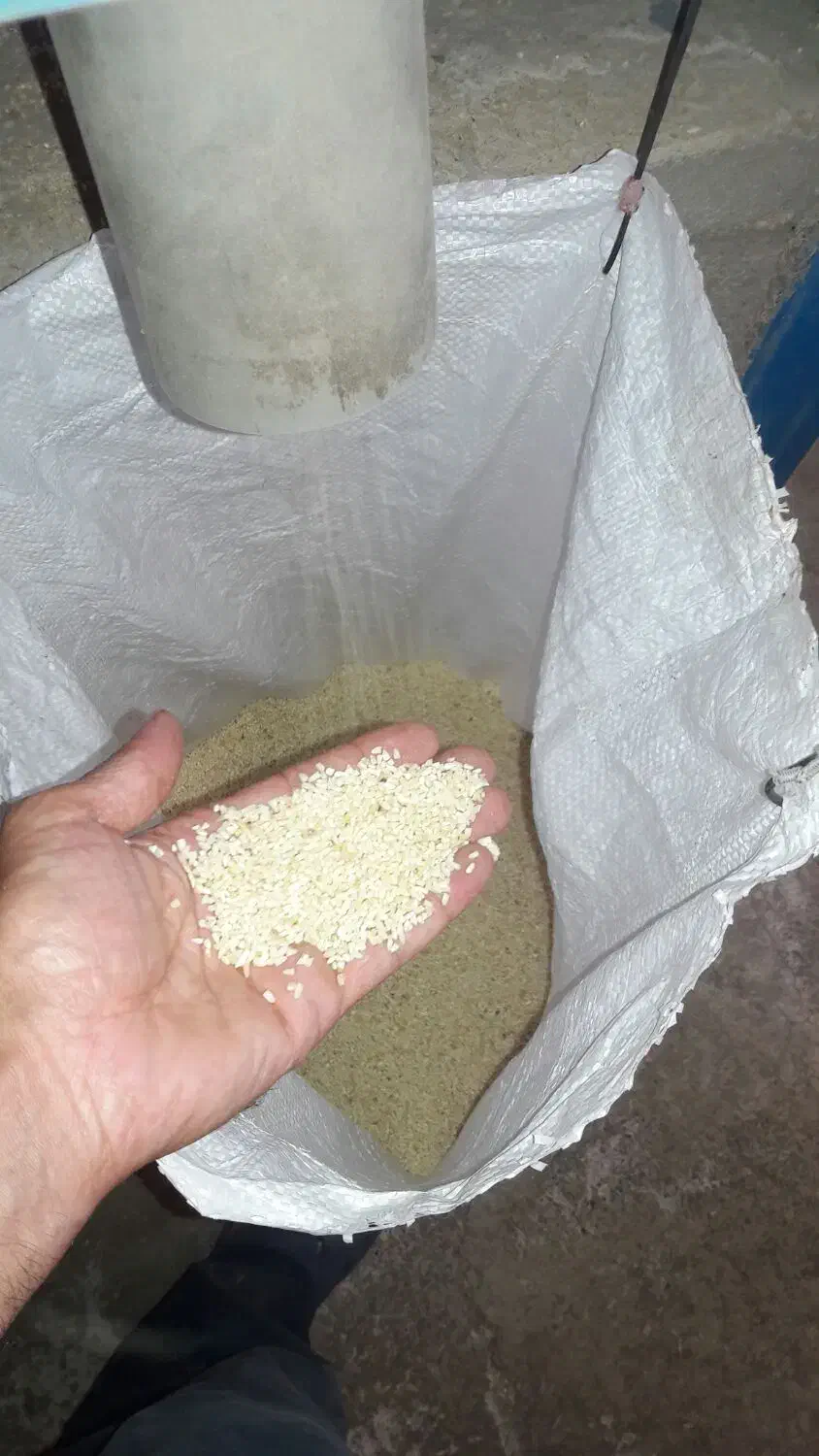 برنج هاشمی وکاظمی ونیم دانه هاشمی وکاظمی|خوردنی و آشامیدنی|شفت, |دیوار