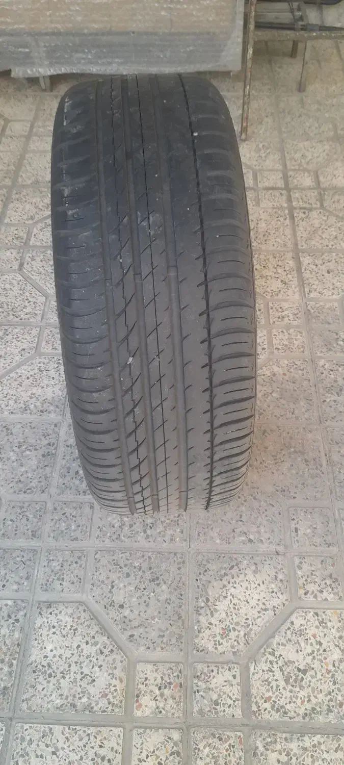 لاستیک فیدلیتی شاستی بلند|قطعات یدکی و لوازم جانبی|قدس, شهرقدس|دیوار