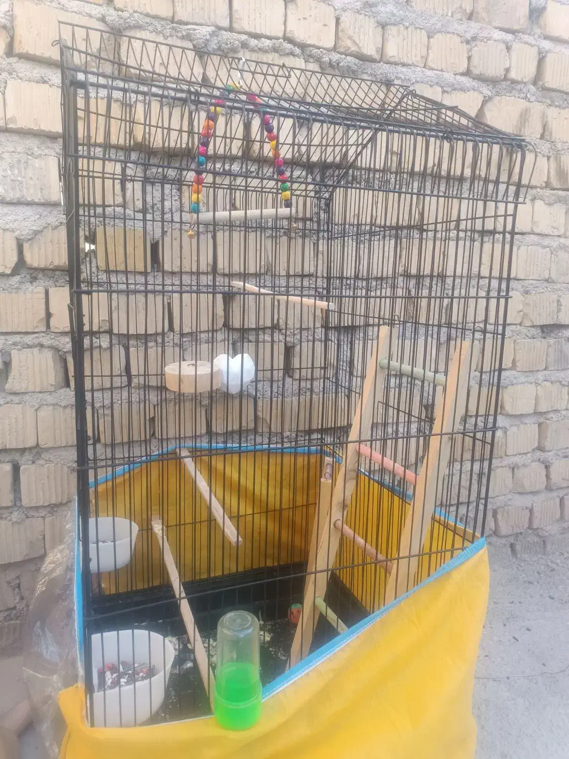 قفس طوطی،عروس هلندی|لوازم جانبی حیوانات|مرودشت, ژیان|دیوار