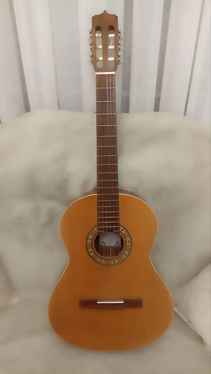 گیتار Parsi P80|گیتار، بیس، امپلیفایر|محمدشهر, همایون ویلا|دیوار