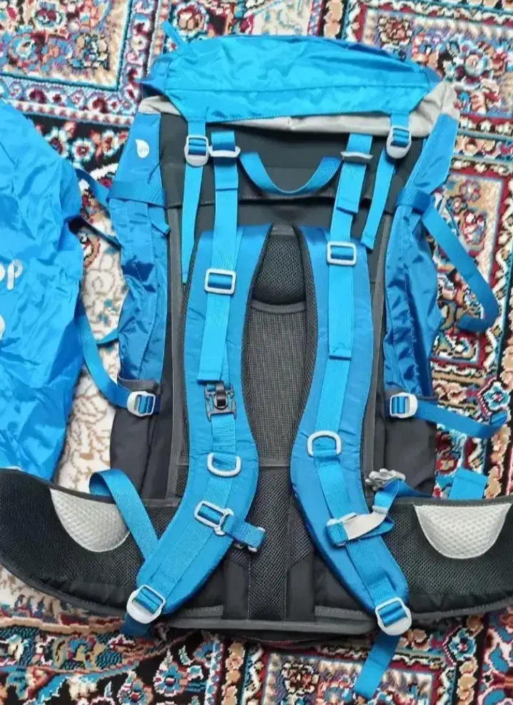 کوله پشتی ۴۵ لیتری دیوتر|کوهنوردی و کمپینگ|نیشابور, فضل|دیوار