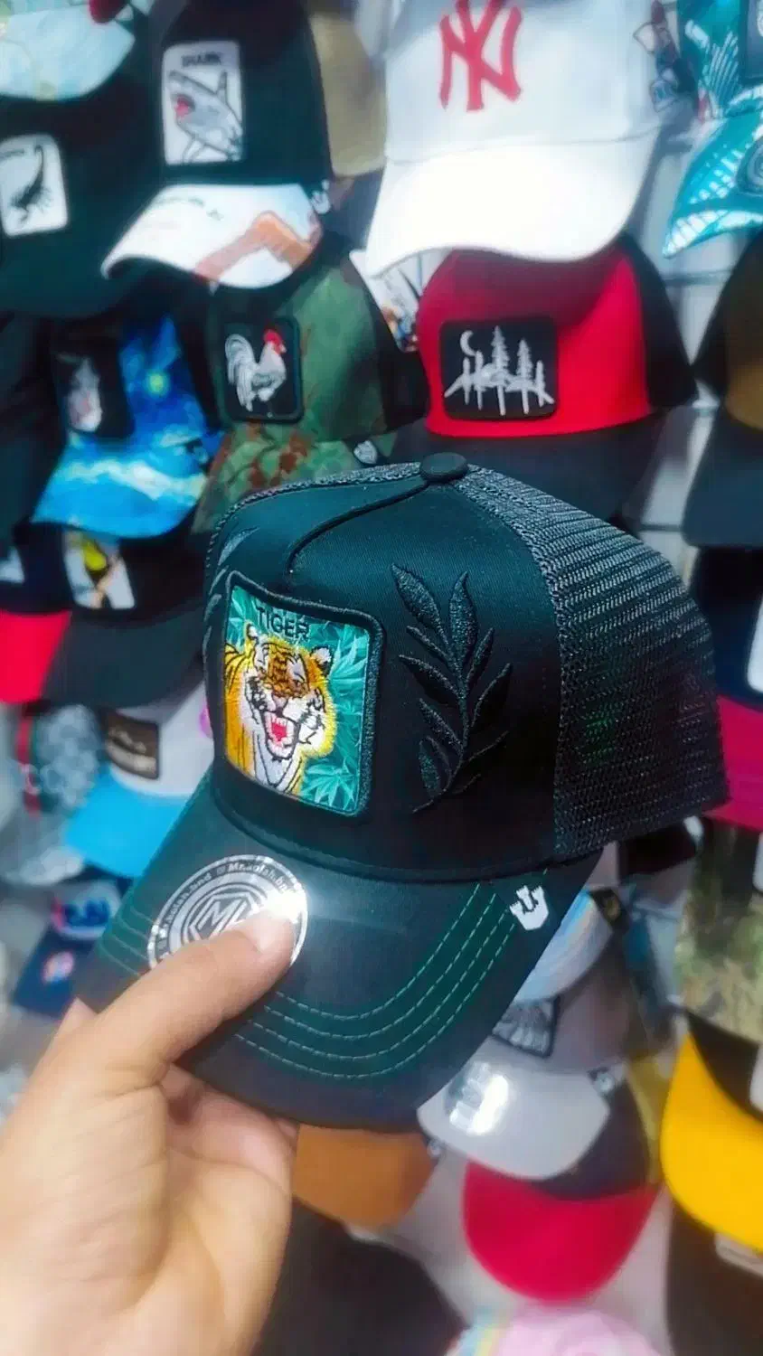 گورین اصل|لباس|بندرعباس, |دیوار