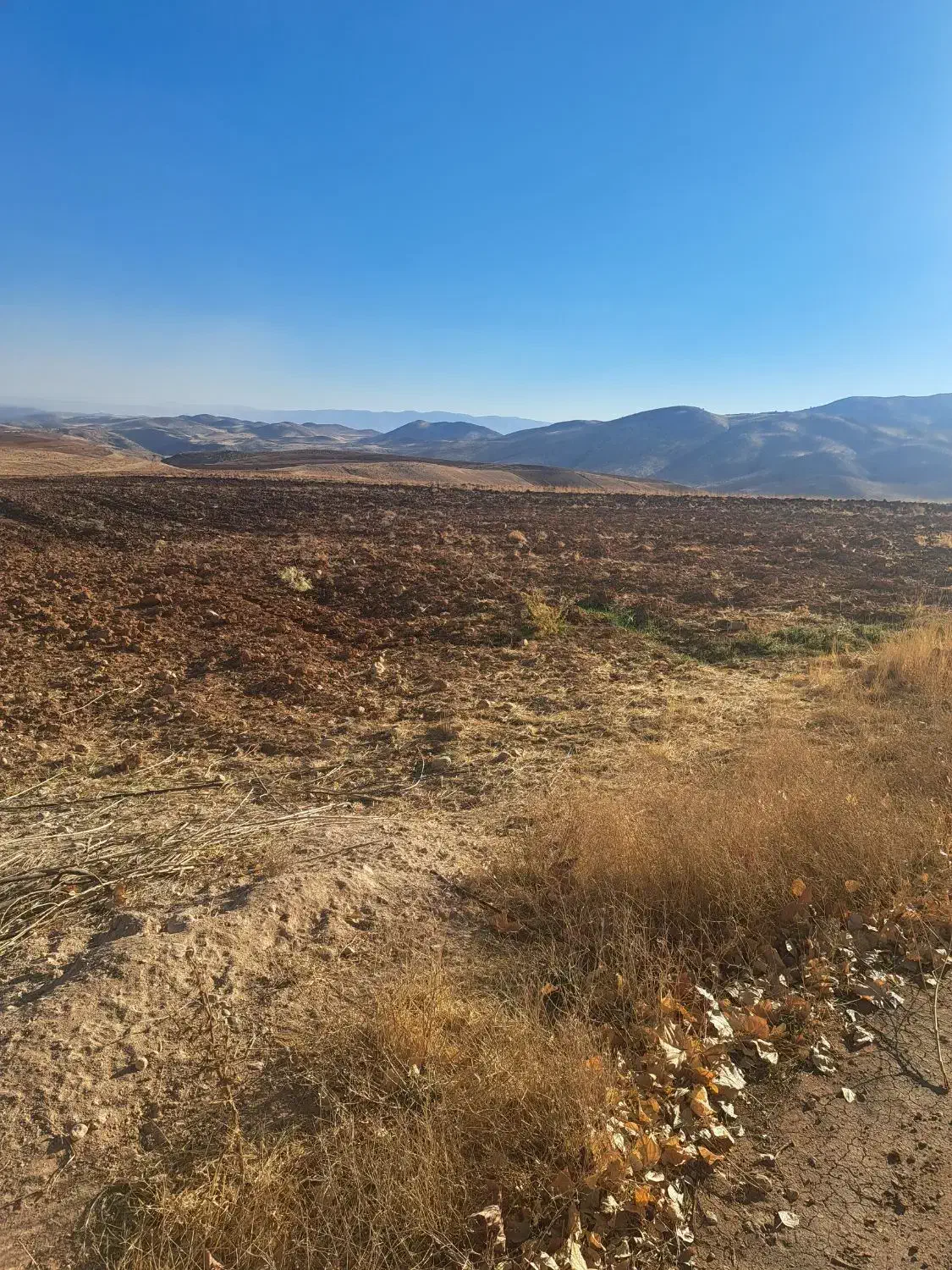 فروش زمین جهت طرحهای تولیدی  وکاشت باغ بادام وغیره|فروش زمین و ملک کلنگی|سپیدان, |دیوار