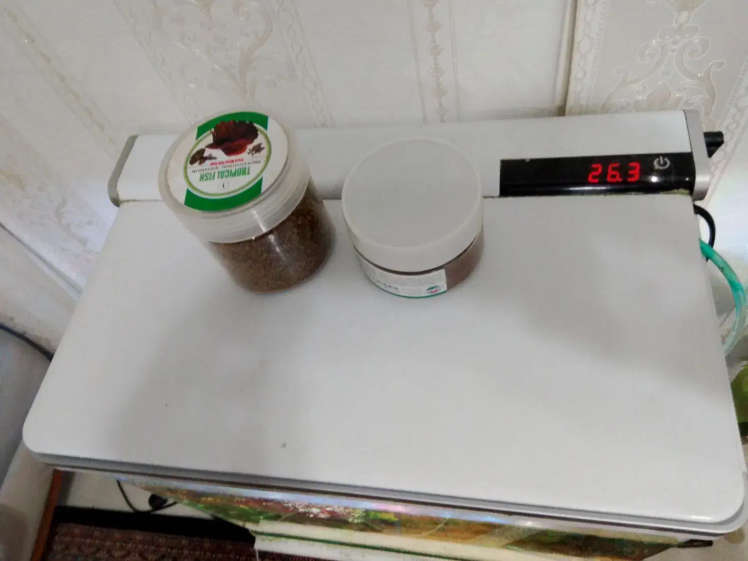 اکواریوم|ماهی|تهران, هلال احمر|دیوار