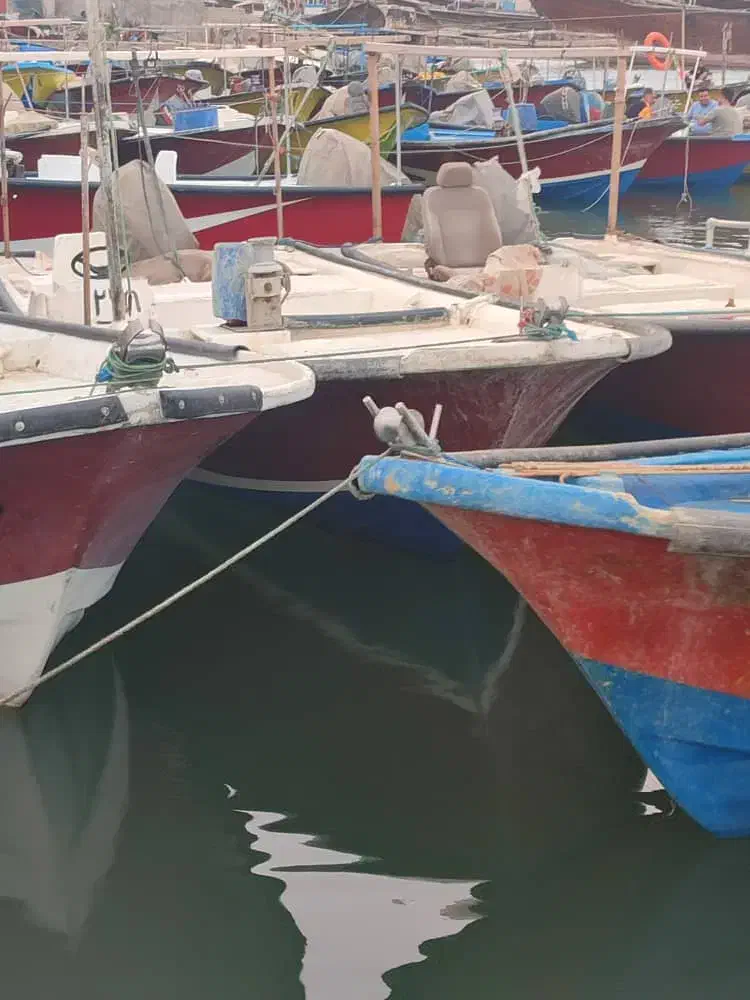 فروش گلف و موتور115یاماها با ادوات|قایق و سایر وسایل نقلیه|بندر گناوه, |دیوار