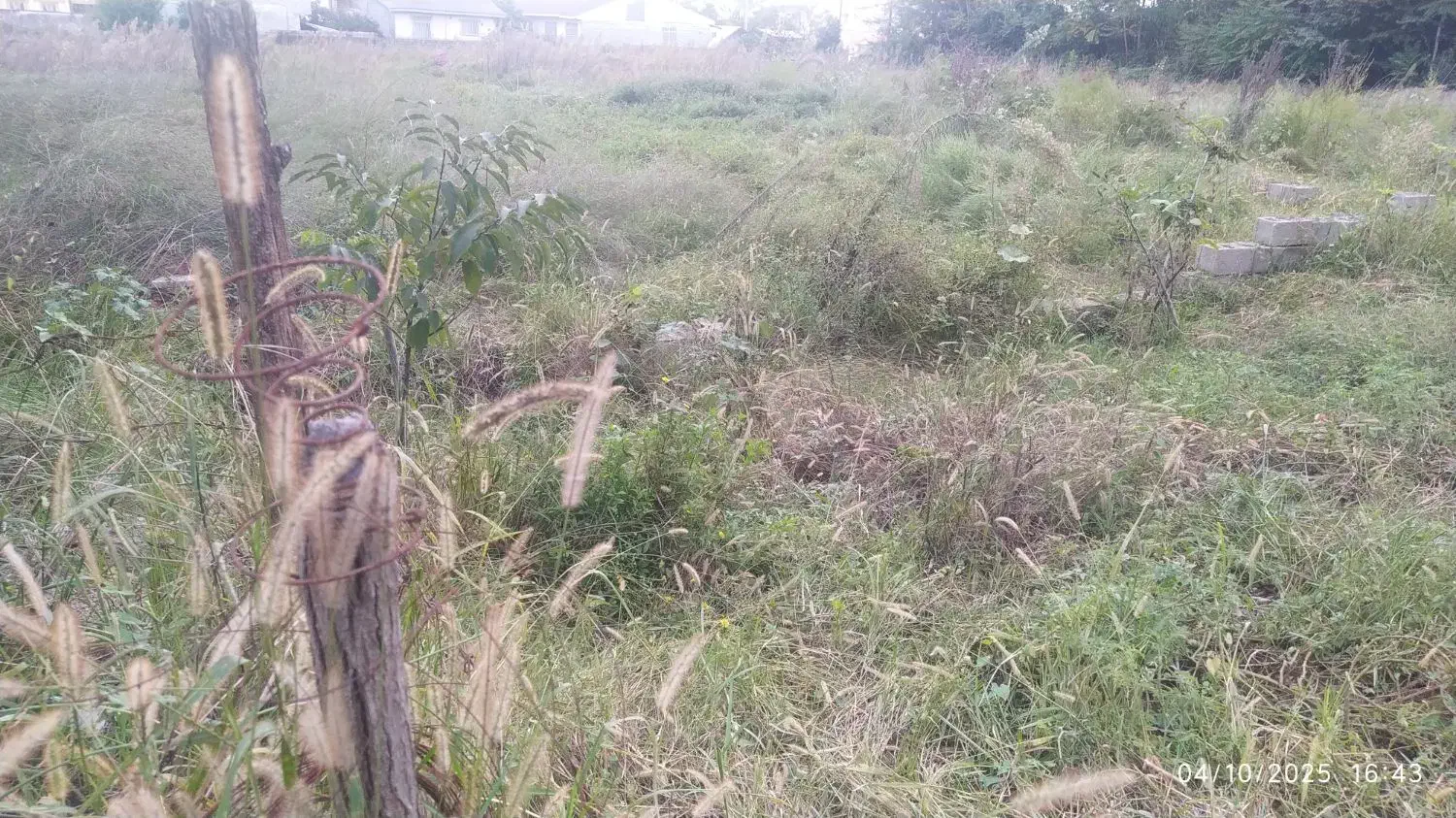 ۳۵۰متر زمین مسکونی متری ۲۸۵۰مقطوع فوری|فروش زمین و ملک کلنگی|رضوانشهر, |دیوار