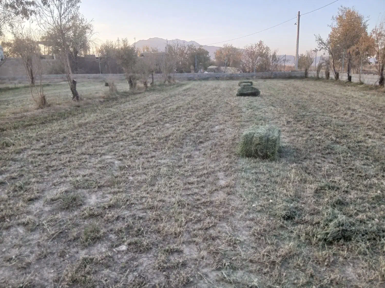 پرس یونجه|عمده‌فروشی|گلپایگان, |دیوار