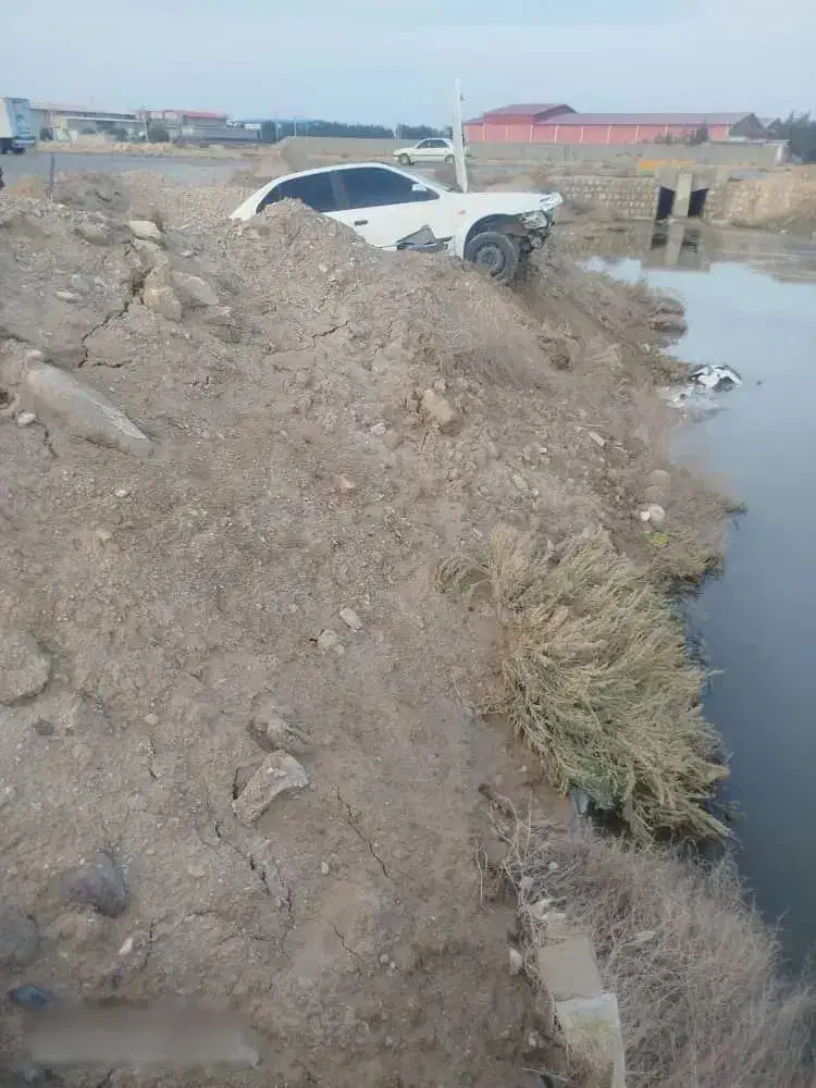 فروشی|خودرو سواری و وانت|بوشهر, |دیوار