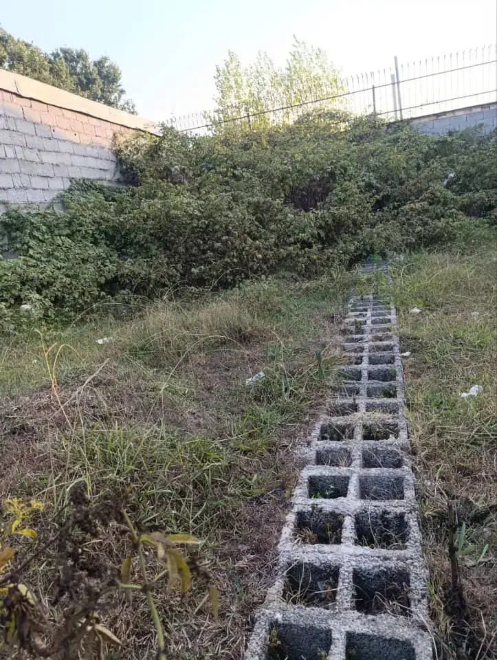 زمین مسکونی شهرک صبا|فروش زمین و ملک کلنگی|رشت, شهرک صبا|دیوار