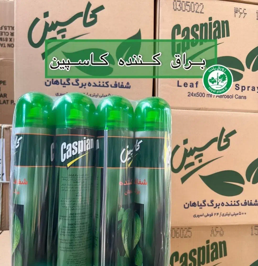 اسپری شفاف کننده کاسپین|آرایشی، بهداشتی، درمانی|آزادشهر, |دیوار