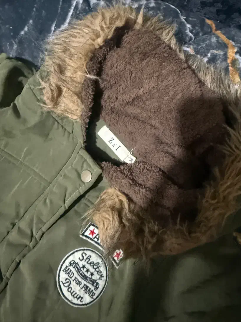 پالتو|لباس|شیراز, شهرک مدرس|دیوار