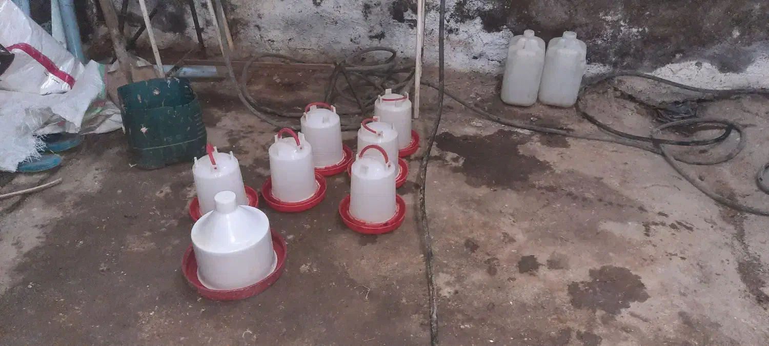 نیپل آب و دونخوری|لوازم جانبی حیوانات|قم, انسجام|دیوار