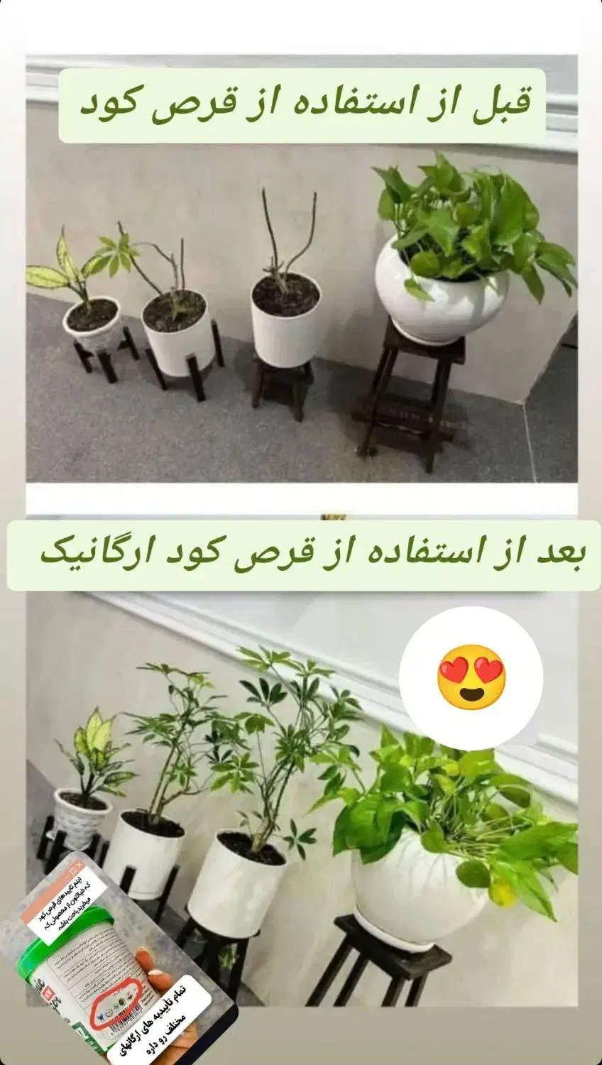 قرص مکمل کود و محرک رشد گیاه|گل و گیاه طبیعی|اهواز, گلستان|دیوار
