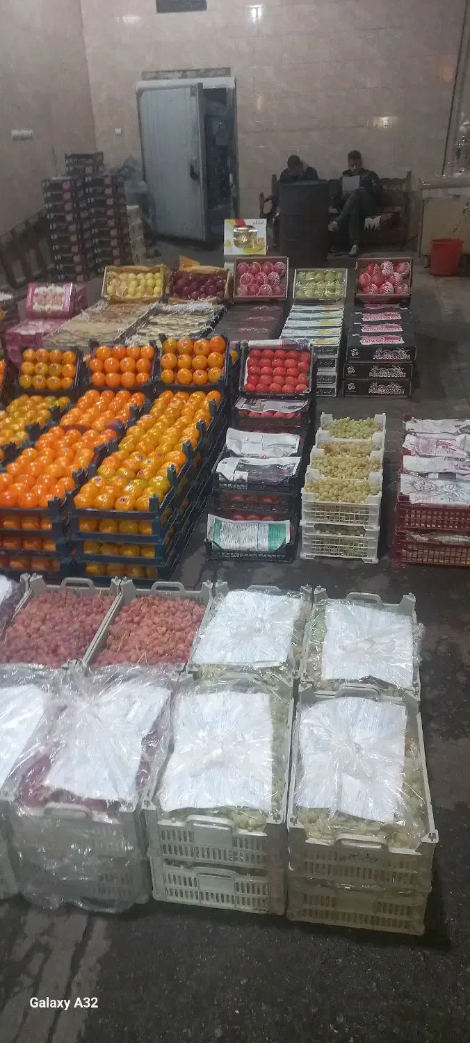 تهیه میوه وفرنگی وسیفجات برای میوه فروشی|خدمات پذیرایی، مراسم|تهران, میدان میوه و تره‌بار مرکزی|دیوار