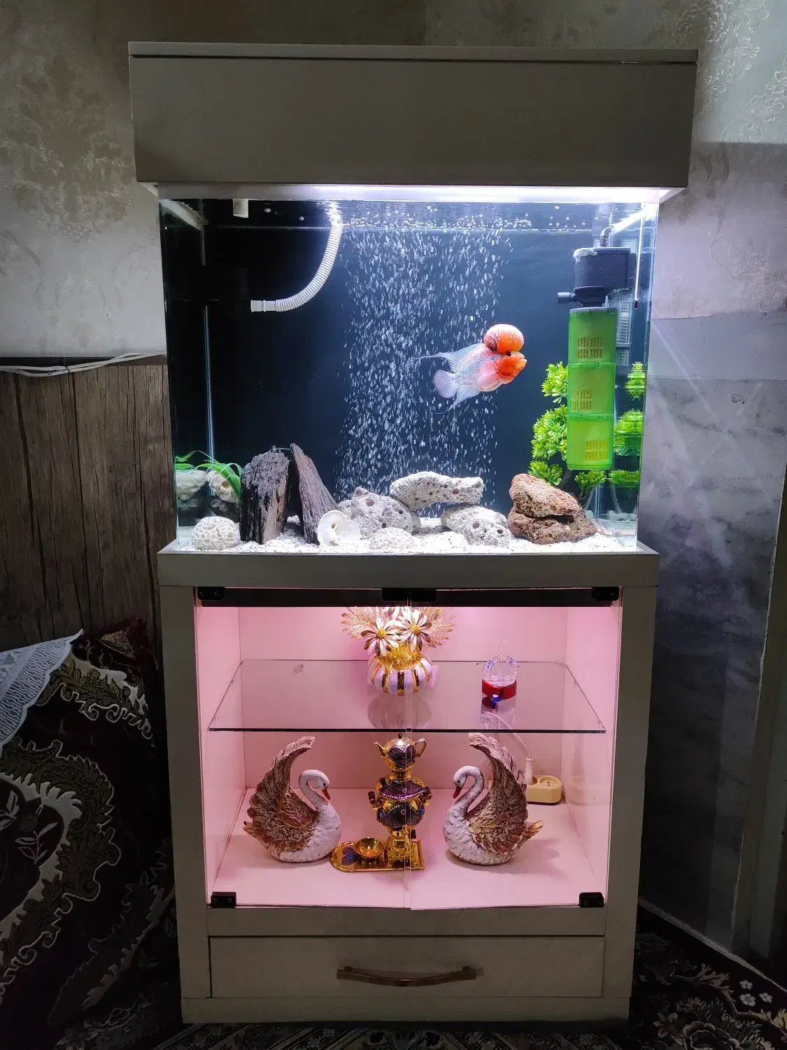 آکواریوم زیبا فلاور|ماهی|اسلامآباد غرب, |دیوار