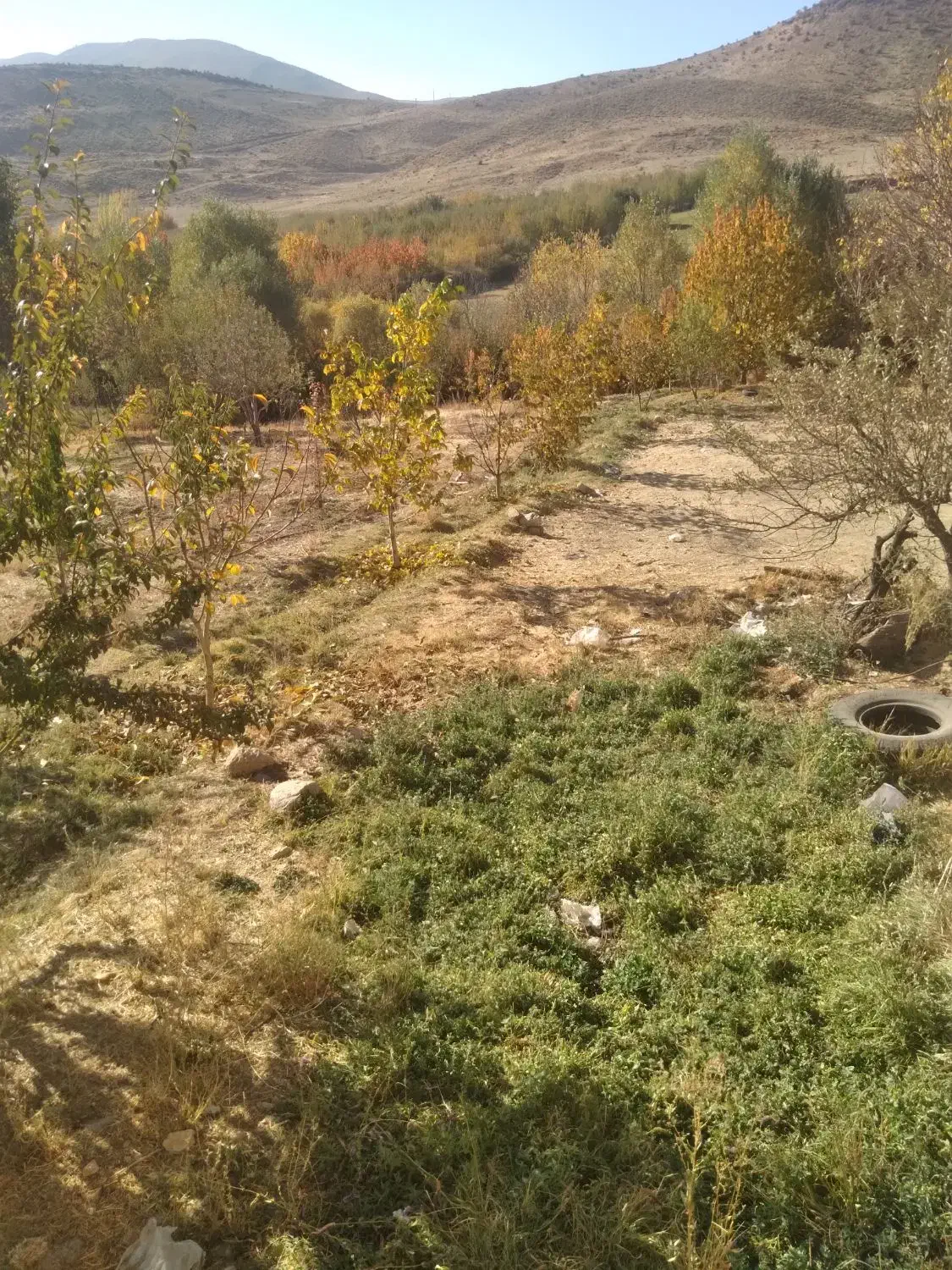 فروش پونصد متر زمین فروشی|فروش زمین و ملک کلنگی|چیتاب, |دیوار