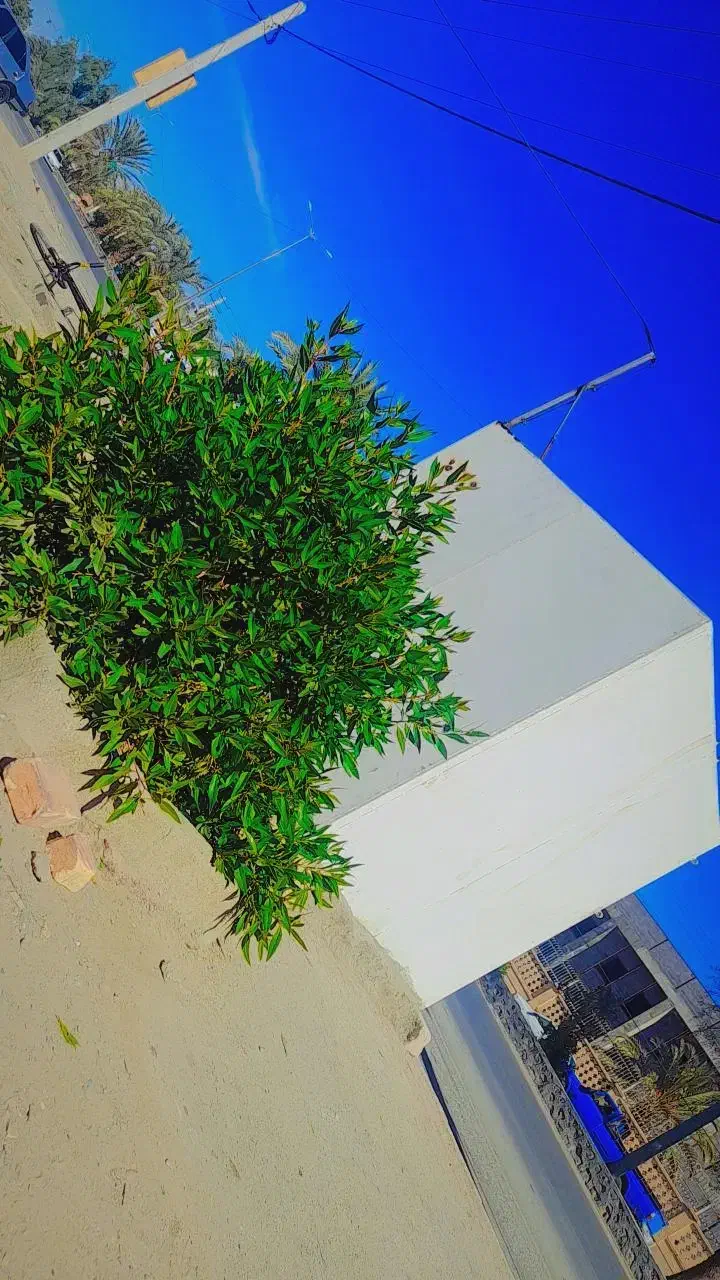 دکه سوپری|فروش مغازه و غرفه|سراوان, |دیوار