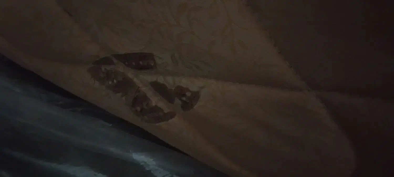 خوشخاب|تشک تختخواب|مشهد, قائم|دیوار