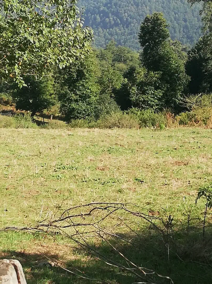 زمین مسکونی ۵۰۰متر|فروش زمین و ملک کلنگی|رشت, بازار|دیوار