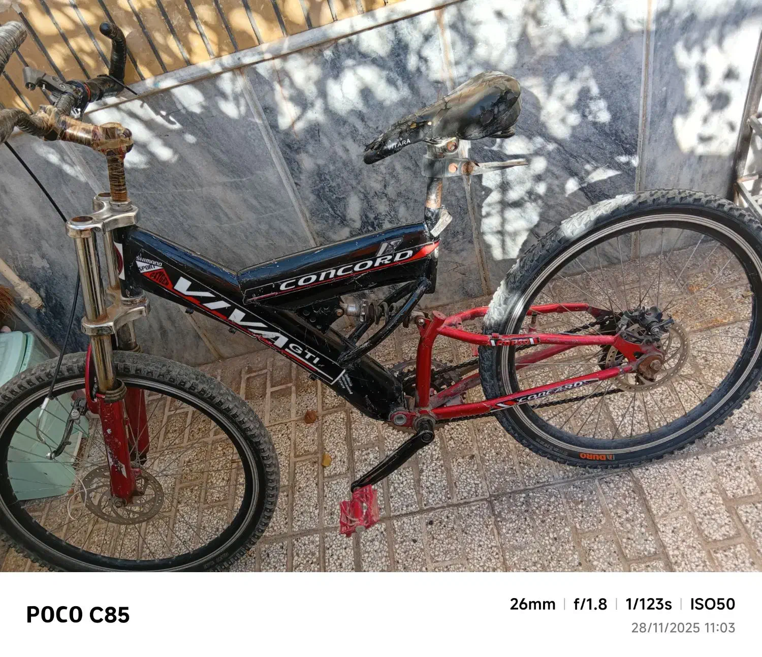 دوچرخه|دوچرخه، اسکیت، اسکوتر|تربت‌حیدریه, منصوریه|دیوار