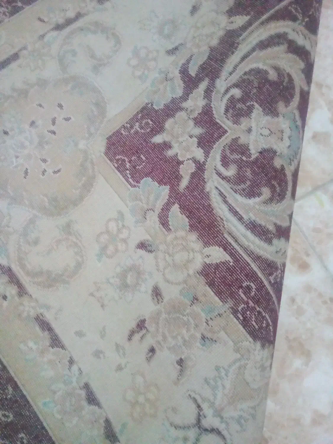 قالی ۶متری دو دانه|فرش|مریوان, |دیوار