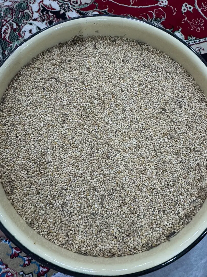 ارزن|خدمات باغبانی و درختکاری|فاریاب, |دیوار