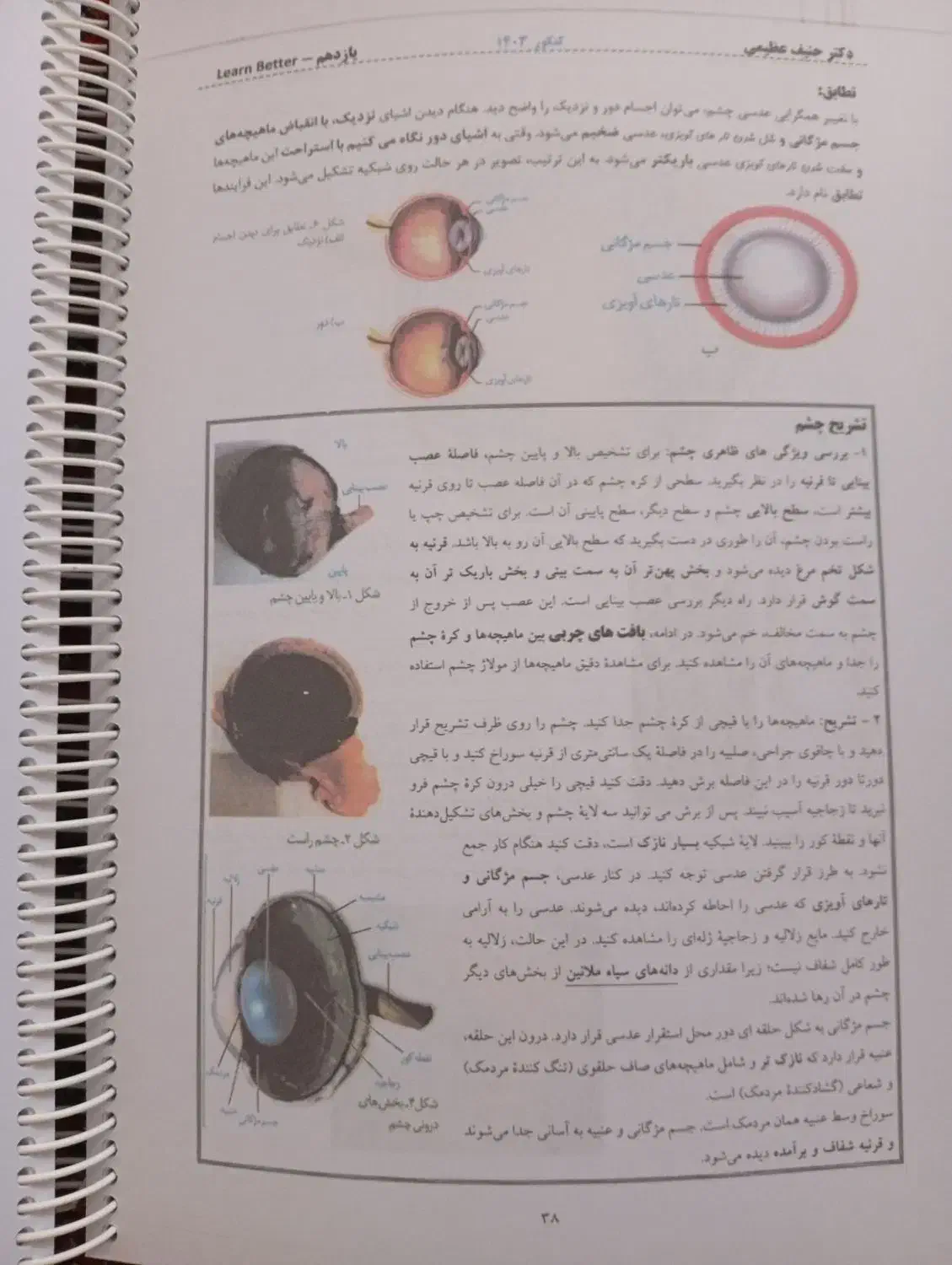 جزوه زیست عظیمی تاملند|لوازم التحریر|سنقر, |دیوار