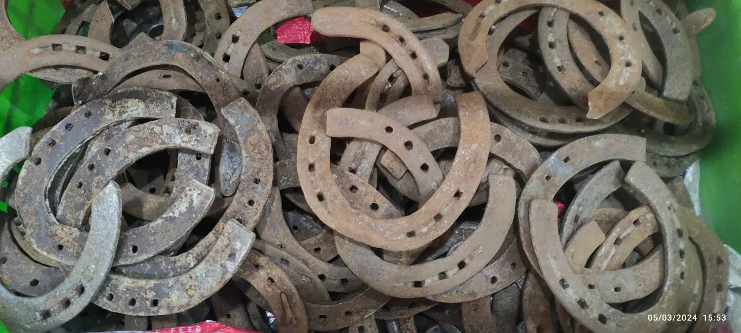 نعل اسب پاخورده استفاده شده کهنه قدیمی|اسب و تجهیزات اسبسواری|بندر ترکمن, |دیوار