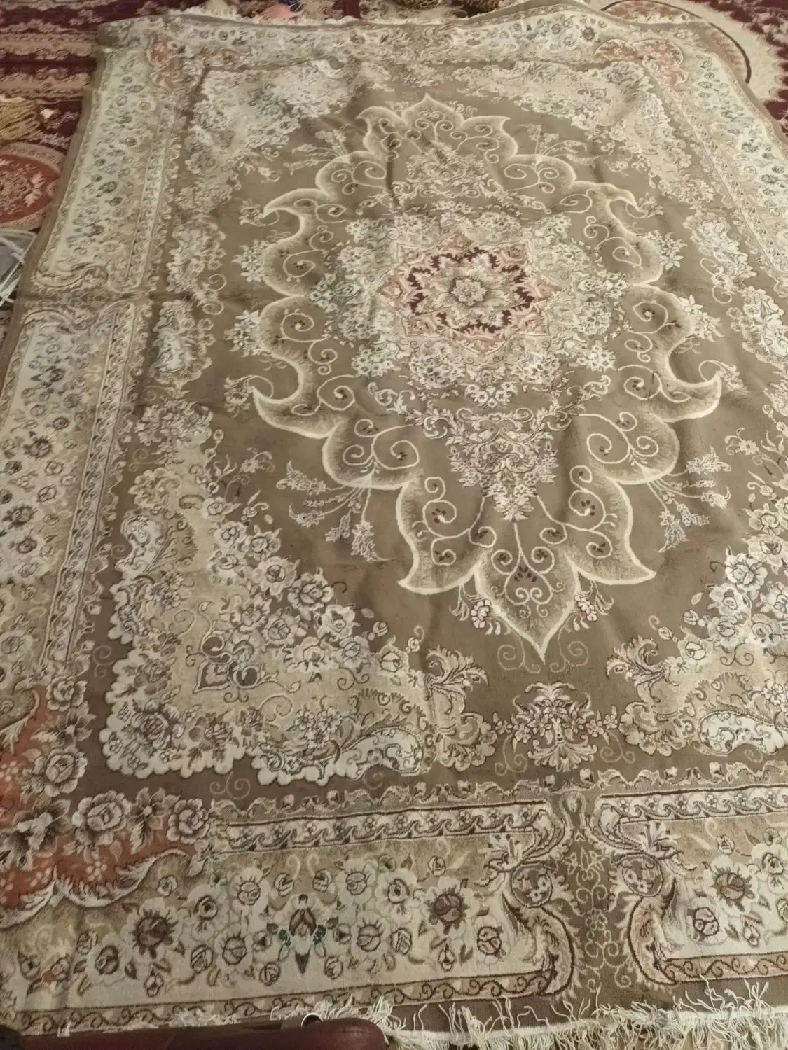 فروش ۱۲متری|فرش|فشاپویه, |دیوار