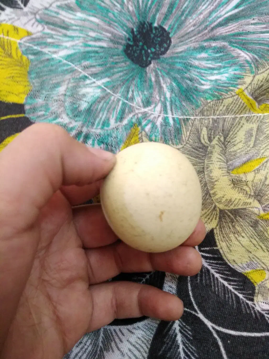 سنگ آسیاب بزرگ قیمت 10000000|کلکسیون اشیاء عتیقه|نیشابور, میدان حافظ|دیوار