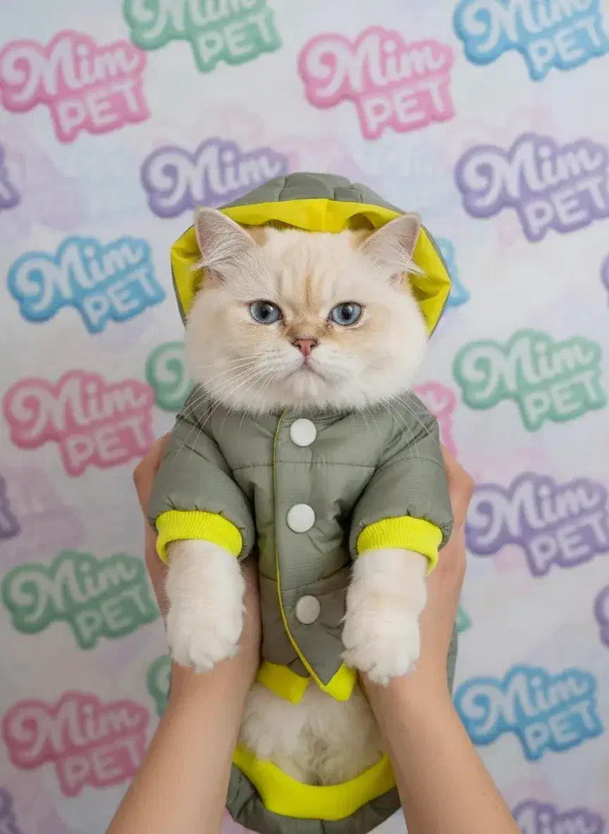 پاییزه|لوازم جانبی حیوانات|رشت, پل تالشان|دیوار