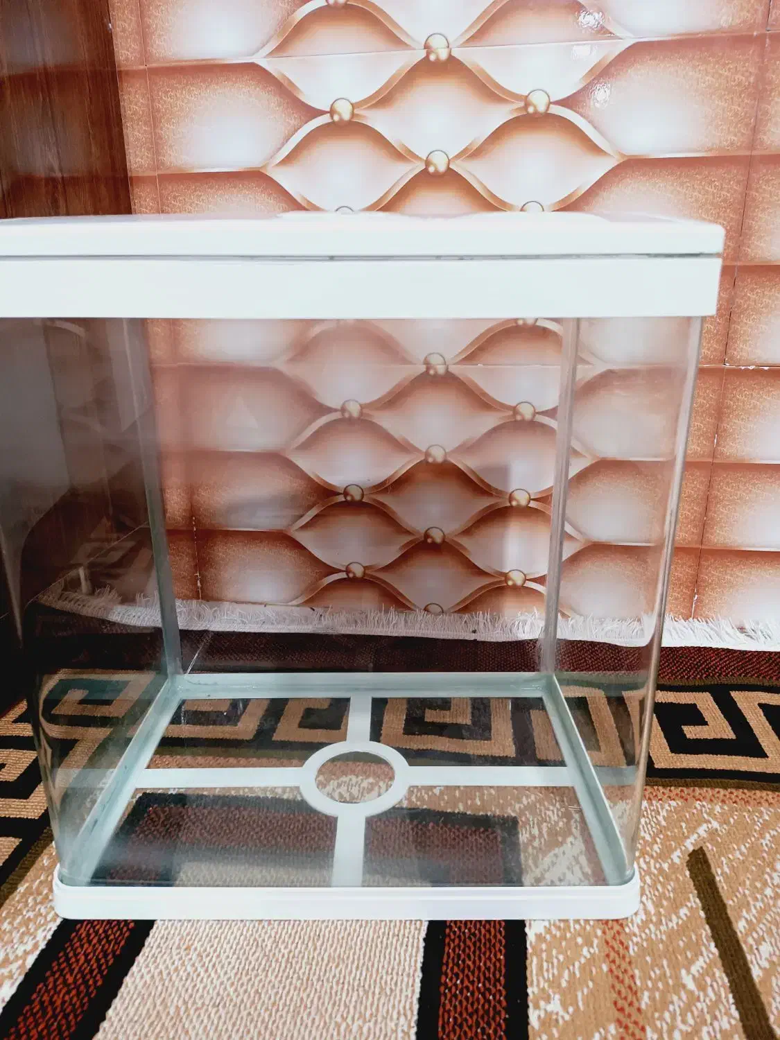 آب فارون|ماهی|ایرانشهر, |دیوار