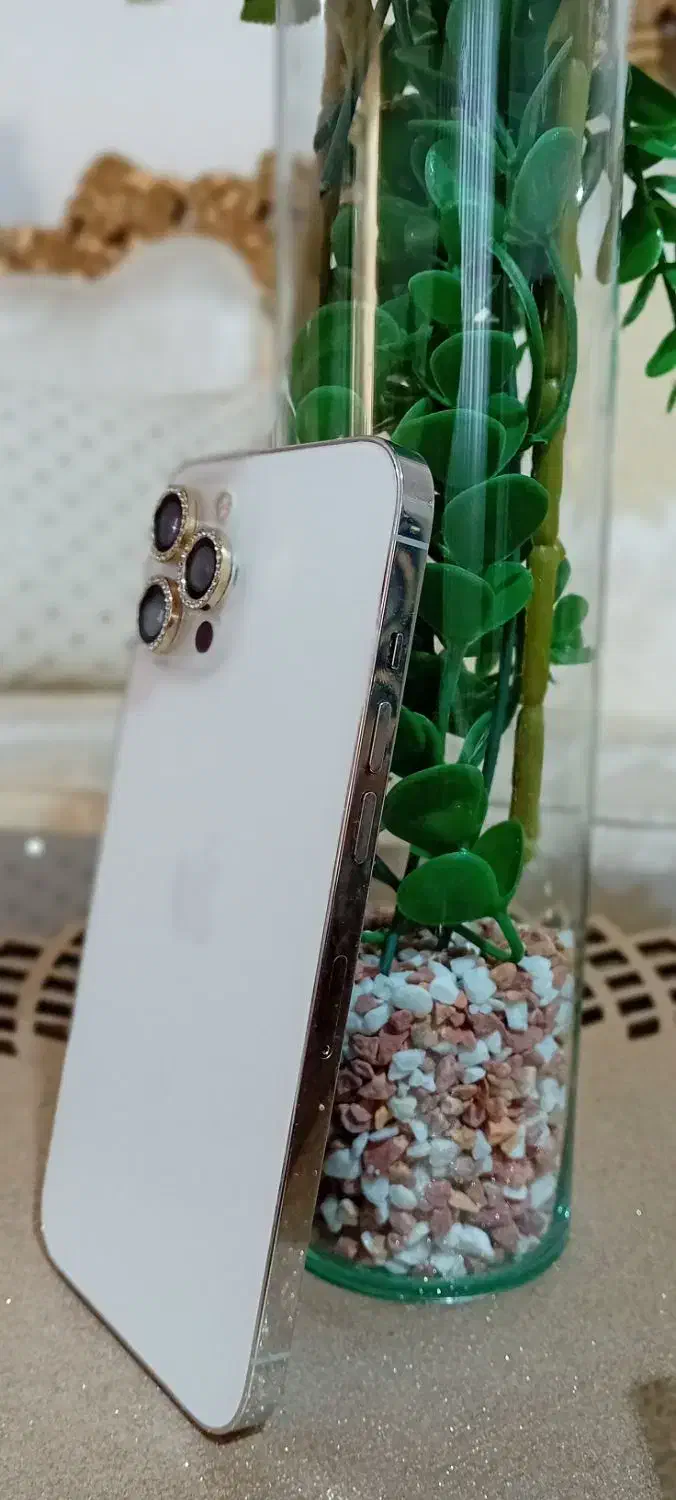 ایفون ۱۲پرومکس|موبایل|گرگان, |دیوار