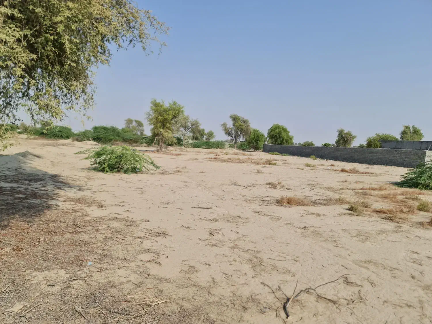 فروش زمین  حسن لنگی|فروش زمین و ملک کلنگی|شمیل, |دیوار