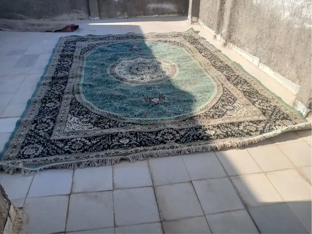 فرش ۱۲متری|فرش|شهرضا, |دیوار