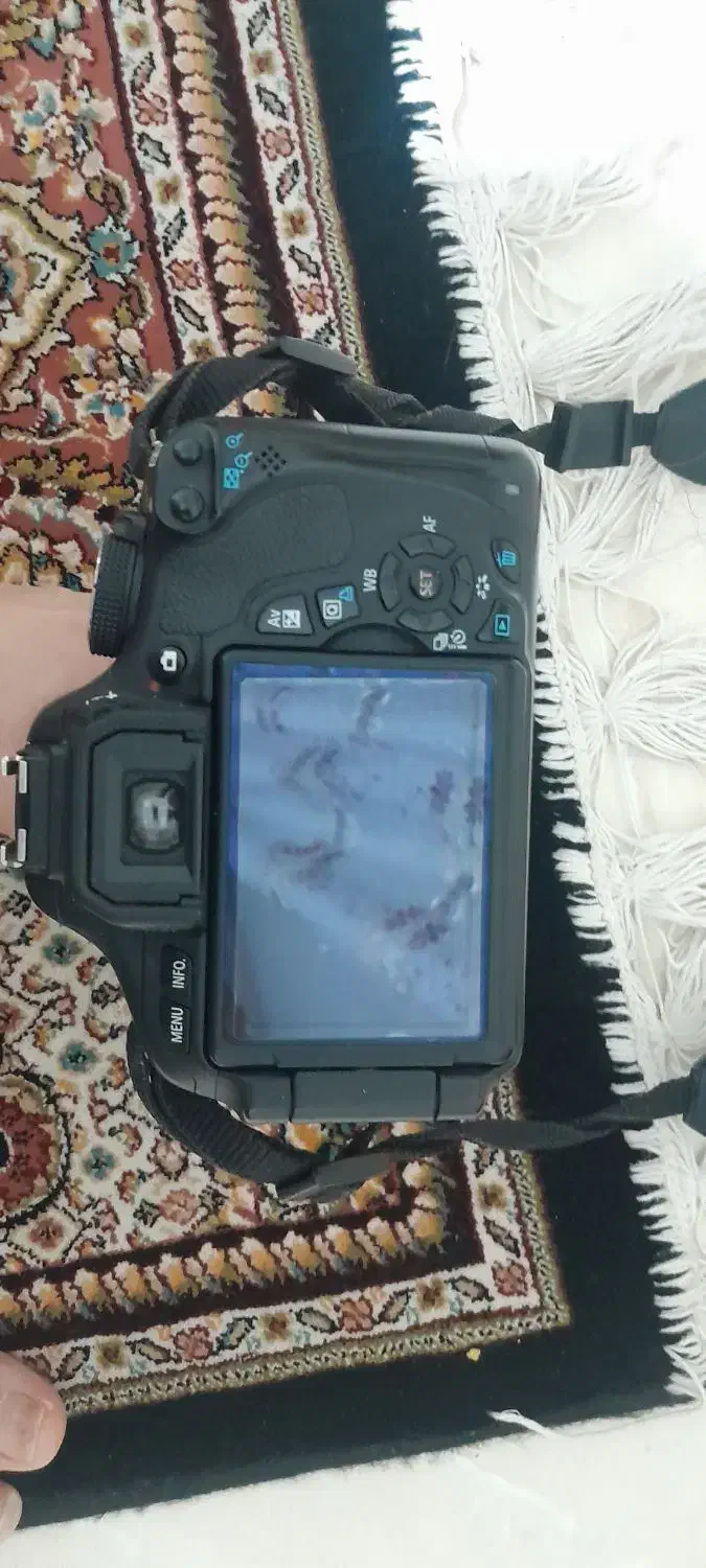 دوربین کانن ۶۰۰ دی|دوربین عکاسی و فیلمبرداری|شیراز, کوشک میدان|دیوار