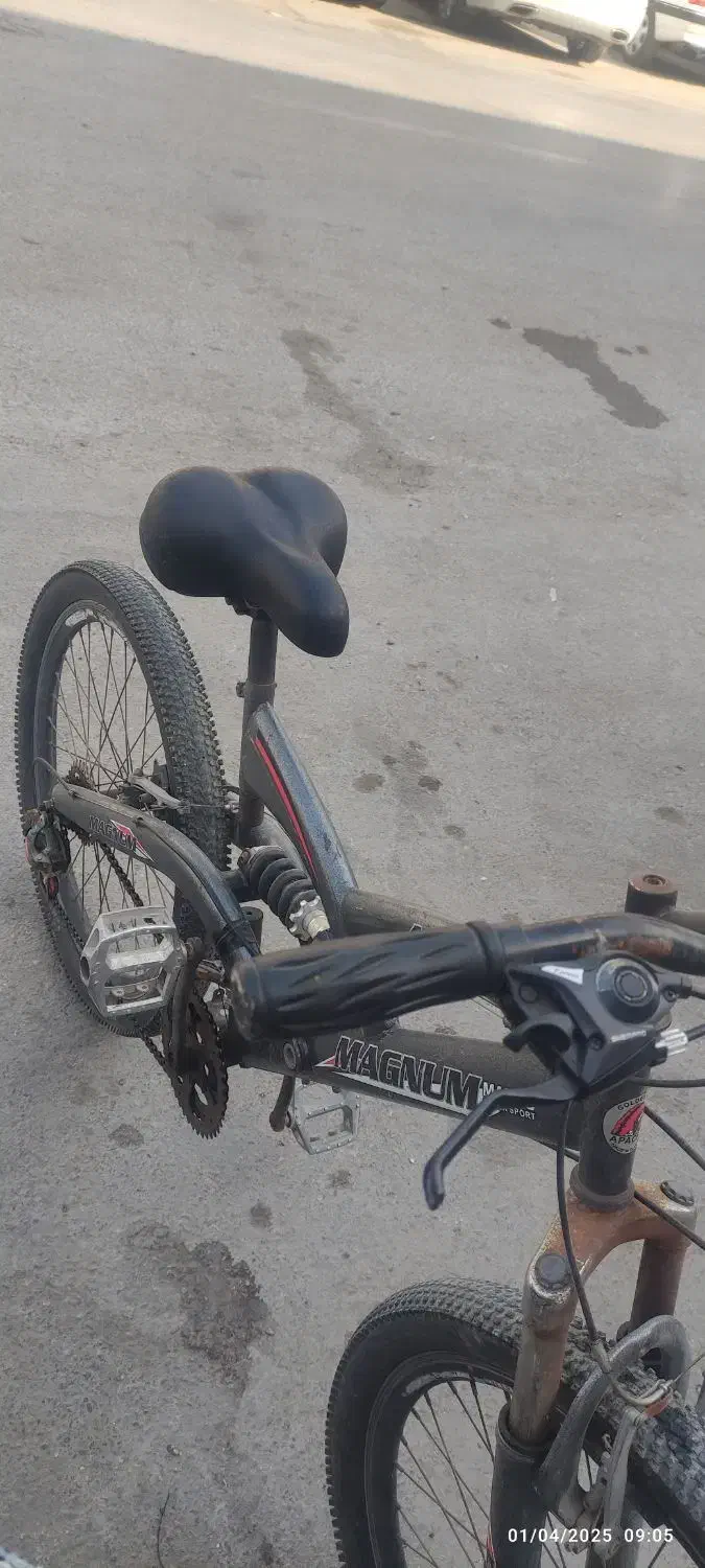 دوچرخه 24|دوچرخه، اسکیت، اسکوتر|بندر گناوه, |دیوار