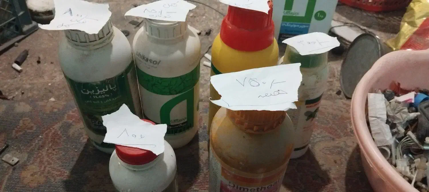 سم درخت و خاک|گل و گیاه طبیعی|مشهد, نیروی هوایی|دیوار