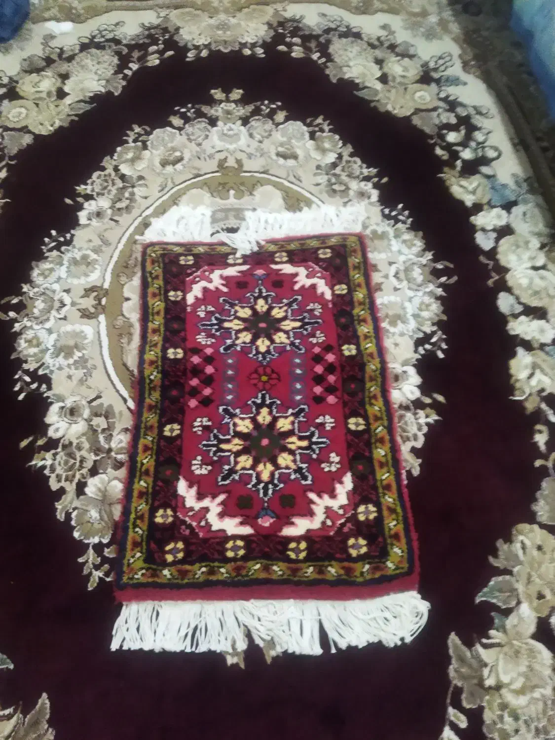 فرش کوچیک بانخ عالی|فرش|اهر, |دیوار