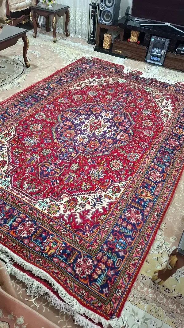 فرش طبیعی ۶متری در حد|فرش|ارومیه, |دیوار