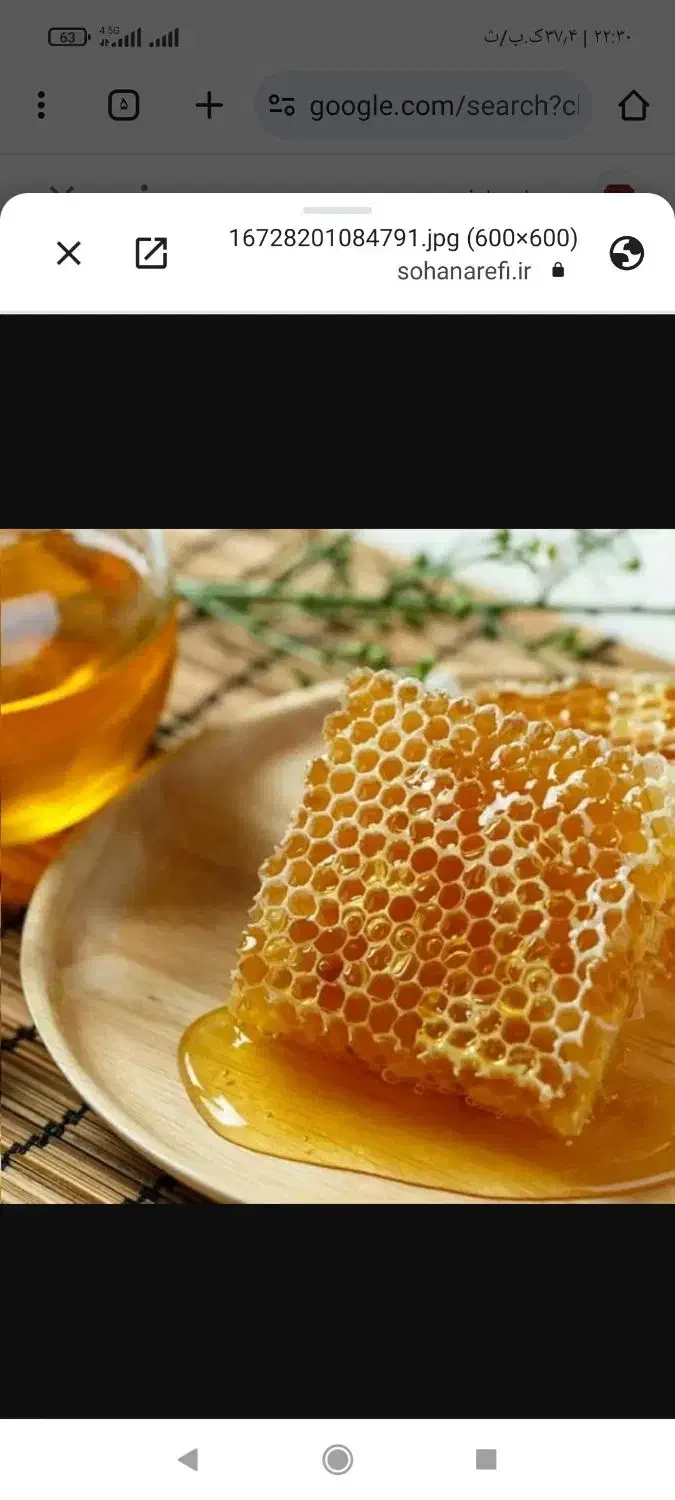 عسل عمدە و خردە|حراج|بانه, |دیوار